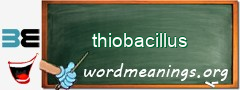 WordMeaning blackboard for thiobacillus